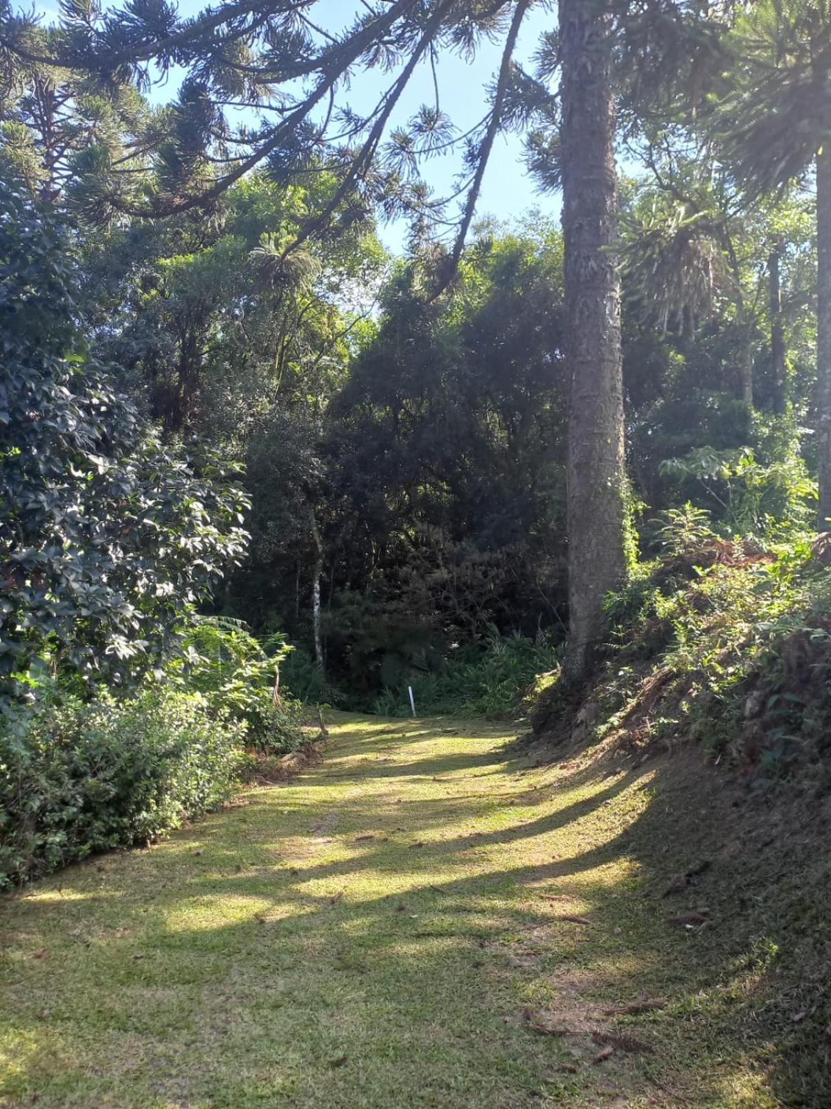 Casa Ampla E Aconchegante Em Gramado Villa Eksteriør billede